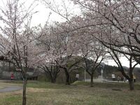 丸山大橋  丸山公園