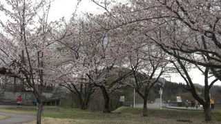 丸山大橋  丸山公園