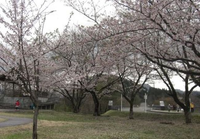 丸山大橋  丸山公園