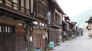 散策するなら朝方がおすすめ