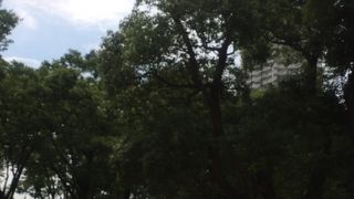 ルミナリエの本拠地