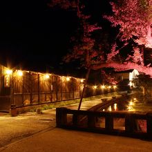 大堰公園の大堰(水路）・桜・塀の写真です