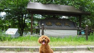 始まりは太閤さん