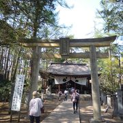 石楠花に囲まれた神社