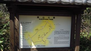 湯畑を上からみれます