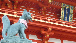 さまざまなキツネさんが居ます。