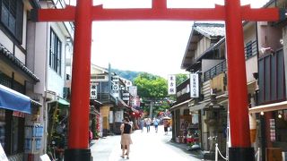 お腹すいたらお食事しましょう。