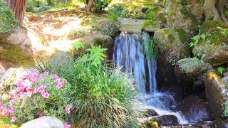 小さくても美しい