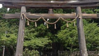 戸隠神社の真ん中です