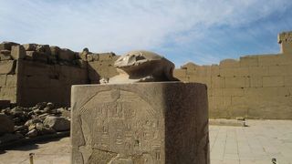 幸運を呼ぶスカラベ