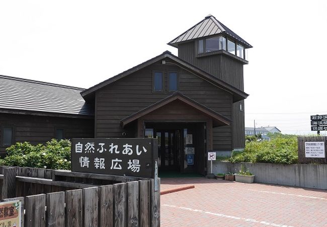 石狩浜海浜植物保護センター クチコミ アクセス 営業時間 石狩 当別 厚田 フォートラベル 石狩浜海浜植物保護センター クチコミ アクセス 営業時間 石狩 当別 厚田 フォートラベル