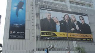 夏季は屋外大水槽が人気です