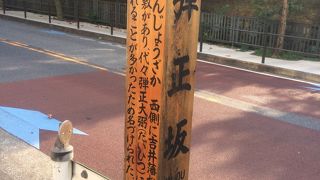 坂道の解説が面白い