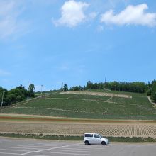 「なかふらの」の文字が目印です