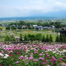 大雪山をバックに