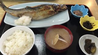 ニシンが美味い！