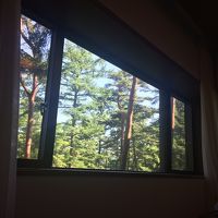 ベッドからの眺め。まるで絵画のよう。