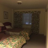 広いベッドルーム。横にはクウォークインクローゼットもあり便利