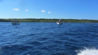 ダイビングスポット