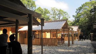 遷宮されて、新しいお宮になってました！