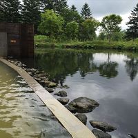 鯉の泳いでいるのが見える露天風呂