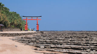 南国ムードあふれる神社