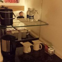 これも、かわらないかなぁ。