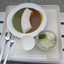 外のベンチで食べた2色カレーと付け合せのサラダ