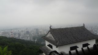 見応えありました