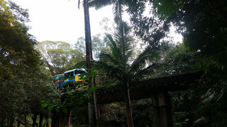 ケアンズから発車してます。