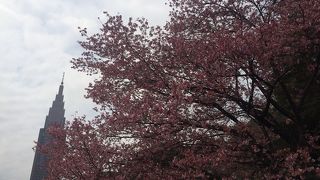 都内の中にこんな場所があったなんて