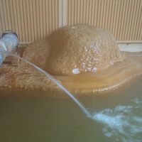 内湯にもミニ石灰華ドーム