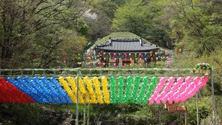 韓国風のゆったりとした庭園を楽しめる