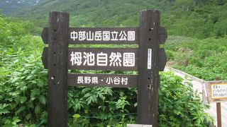 お花がいっぱい