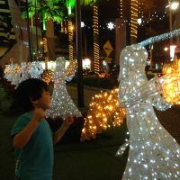 エントランス前のイルミネーション