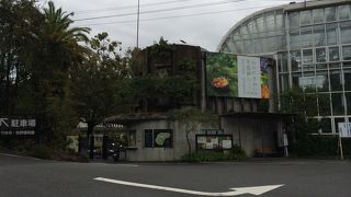 敷地が広い植物園