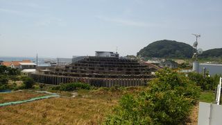 太平洋の眺望を楽しみながら