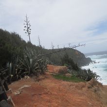風が気持ちよかったところ