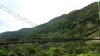 橋からの眺めに癒される