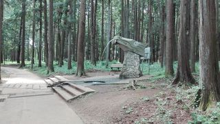 龍ケ崎森林公園