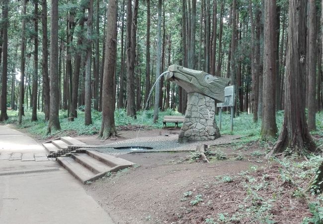 龍ケ崎森林公園