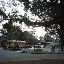 パンダ郵便ポスト