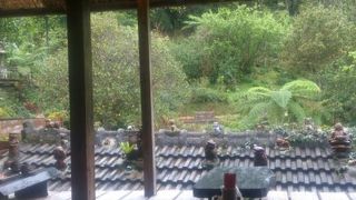 森の中にあるシーサーだらけのカフェ