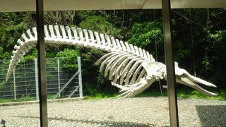 海中公園ではありません