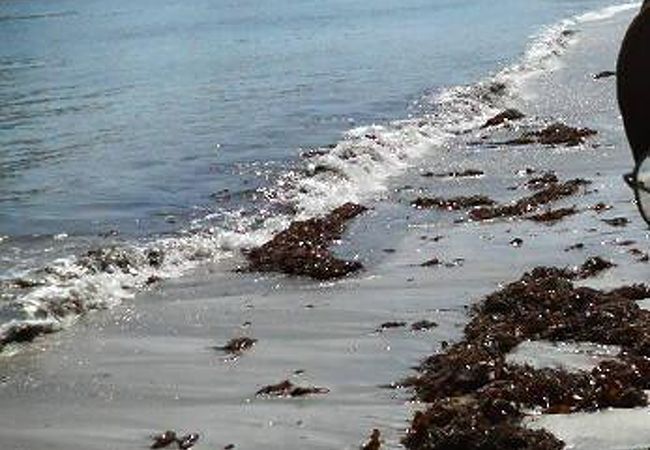 興津海水浴場 千葉県勝浦市 クチコミ アクセス 営業時間 勝浦 フォートラベル 興津海水浴場 千葉県勝浦市 クチコミ アクセス 営業時間 勝浦 フォートラベル