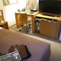 広くもなく狭くもなく、上手くまとまった部屋です