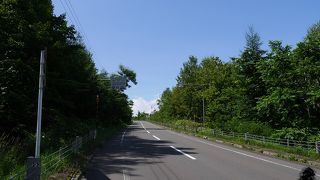 ちょっと木々が生い茂っているが