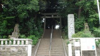 緑豊かな自然林と木の御朱印帳