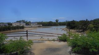 まだまだ自然が一杯残っています