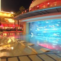 夜のプール。右側の水槽の中を抜けてウォータースライダーが走る